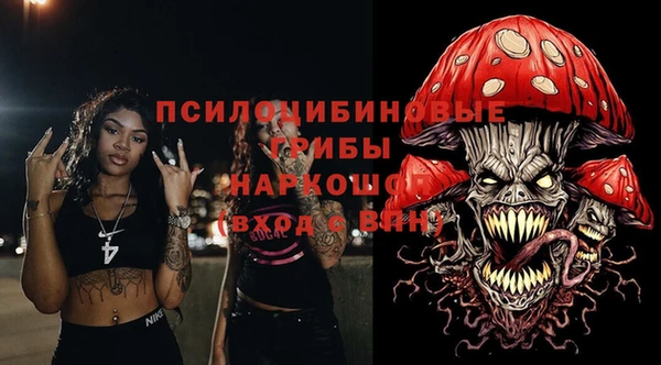 ECSTASY Дмитриев