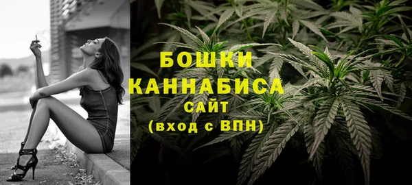 ECSTASY Дмитриев